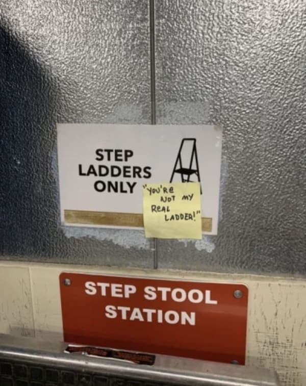 step ladders only you're not my real ladder funny picture