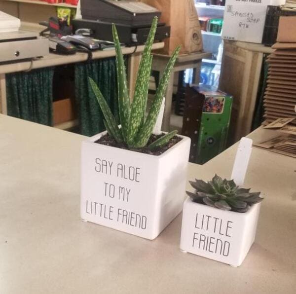 say aloe to my little friend funny picture