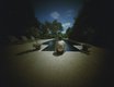 anne-s-at-jack-bs-pool_willie-anne-wright_vmfa.jpg