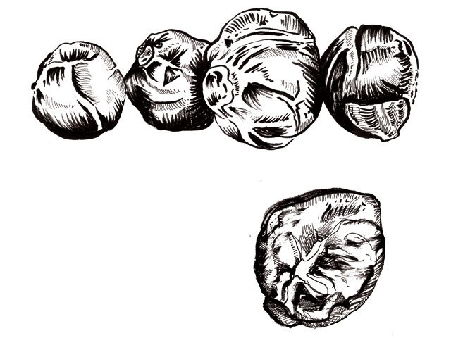 brussel-sprouts.jpg