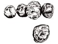 brussel-sprouts.jpg