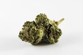 Dining_Cannabis_CHISTINA_WINTER_UNSPLASH_rp0222.jpg