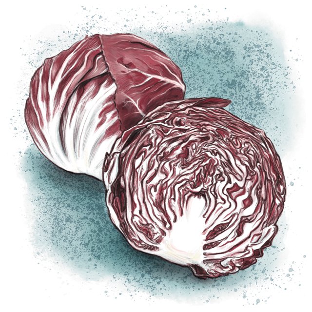 Dining_Ingradient_radicchio_KATIE_MCBRIDE_rp0318.jpg