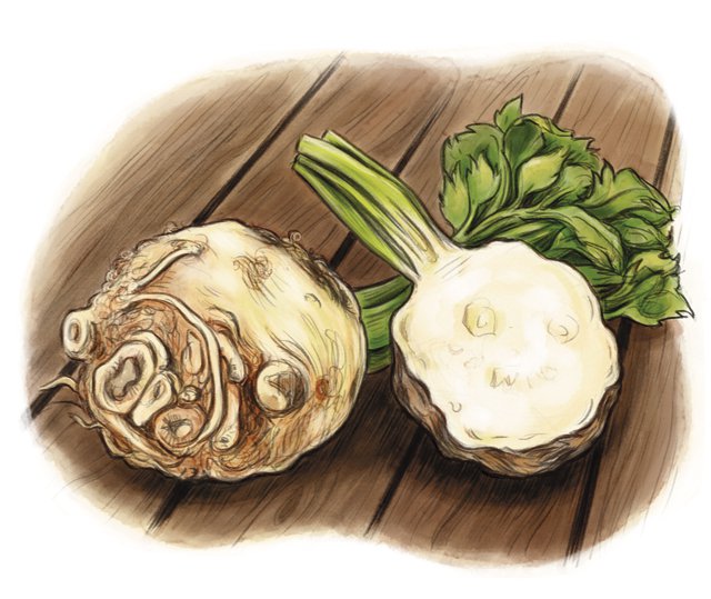 Dining_Ingredient_celeriac_KATIEMCBRIDE_rp0118.jpg