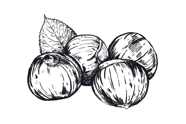 dining_ingredient_chestnuts_KristyHeilenday_rp1116.jpg