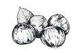 dining_ingredient_chestnuts_KristyHeilenday_rp1116.jpg