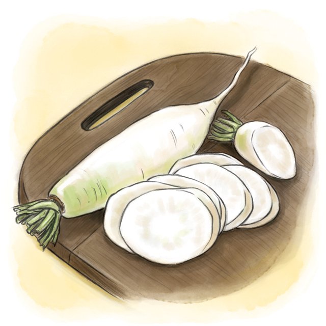 Dining_Ingredient_daikon_KATIE_BROWN_rp1017.jpg