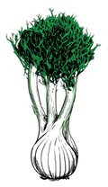 dining_ingredient_fennel_KRISTY_HEILENDAY_rp0516.jpg