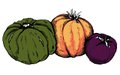 Dining_Ingredient_heirloom_tomatoes_kristie_rp0716.jpg