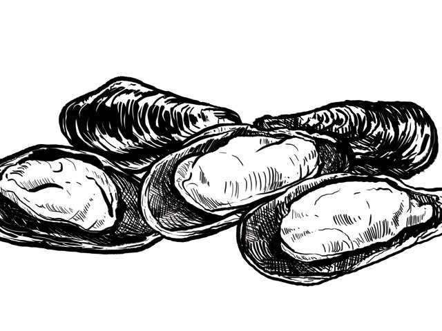 Dining_Ingredient_Mussels_Kristy_Heilenday_rp1015.jpg