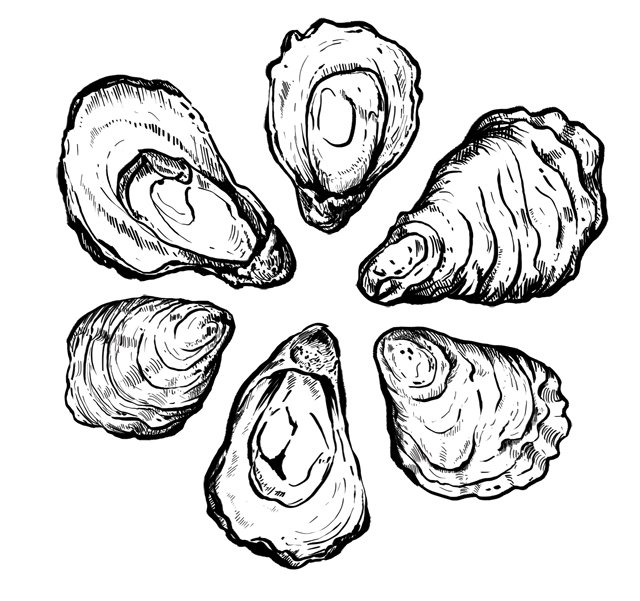 Dining_Ingredient_Oysters_KRISTY_HEILENDAY_rp0117.jpg