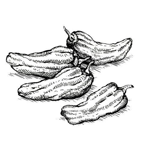 dining_ingredient_padron_peppers_KRISTY_HEILENDAY_rp0815.jpg