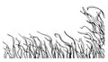Dining_Ingredient_Seaweed_KRISTY_HEILENDAY_rp0317.jpg
