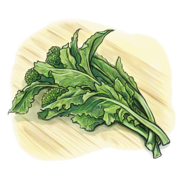 Dining_Shorts_BroccliRabe_KATIEMCBRIDE_rp0917.jpg