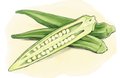 Dining_Shorts_IngreadientOkra_KATIEMCBRIDE_rp0817_teaser.jpg
