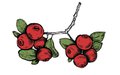 Dining_Shorts_Ingredient_Cranberries_KRISTY_HEILENDAY_rp1216.jpg