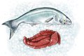 Dining_Shorts_Ingredient_ShadRoe_KATIE_MCBRIDE_rp0418_teaser.jpg