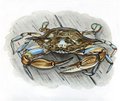 Dining_Shorts_soft-shell-crab-final_KATIE_MCBRIDE_rp0717.jpg