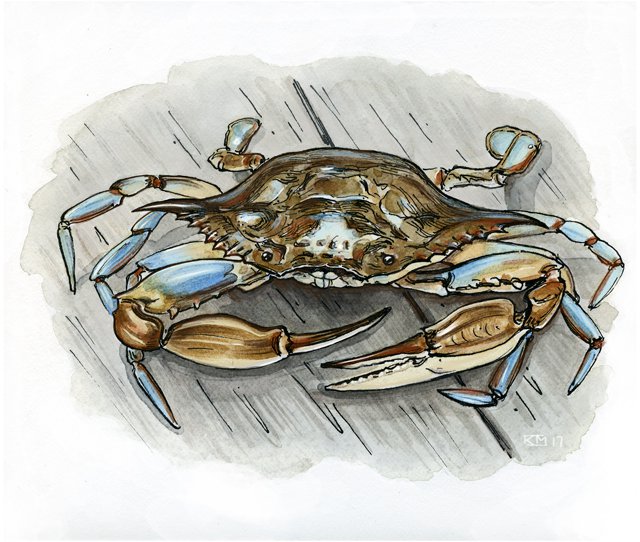 Dining_Shorts_soft-shell-crab-final_KATIE_MCBRIDE_rp0717.jpg