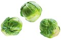 Eat&Drink_Ingredient_BrusselsSprouts_GETTY_rp1121-teaser.jpg