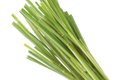 Eat&Drink_Ingredient_Lemongrass_GETTY_rp0822-teaser.jpg