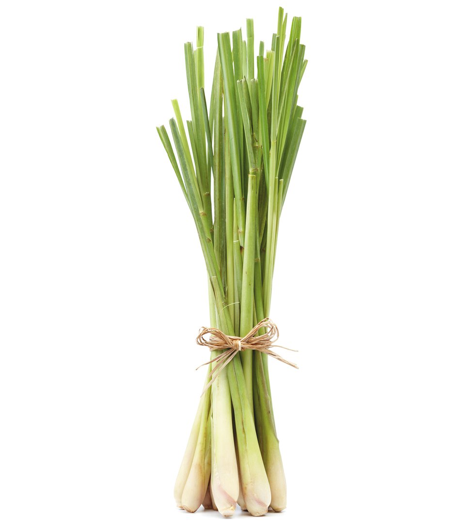 Eat&Drink_Ingredient_Lemongrass_GETTY_rp0822.jpg