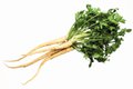 Eat&Drink_Ingredient_Parsnip_GETTY_rp1220-teaser.jpg