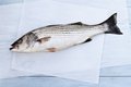 Eat&Drink_Ingredient_Rockfish_GETTY_rp0620.jpg