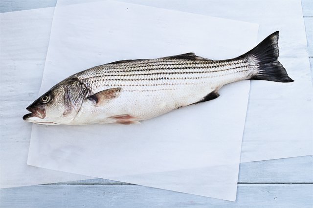 Eat&Drink_Ingredient_Rockfish_GETTY_rp0620.jpg