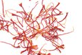 Eat&Drink_Ingredient_Saffron_GETTY_rp0921-teaser.jpg