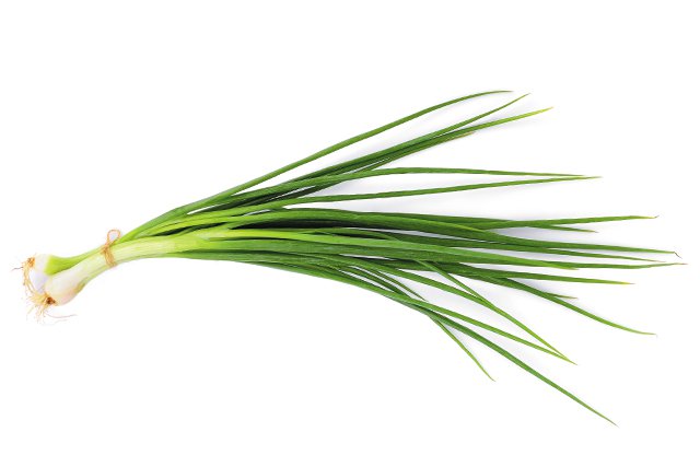 Eat&Drink_Ingredient_Scallions_GETTY_rp0322.jpg-teaser.jpg