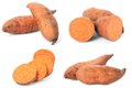Eat&Drink_Ingredient_SweetPotato_GETTYIMAGES_rp1023.jpg