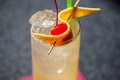 Eat&Drink_OpenTab_TomCollins_FuzzyCactus_JAY_PAUL_rp0620.jpg