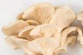 Eat&Drink_Shorts_Ingredient_Mushrooms_GETTY_rp1021-teaser.jpg