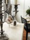 FOB_Design101_ChloeCubbage_COURTESY_hp1123.jpg
