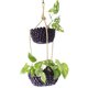 FOB_TheGoods_StudioBaskets_Fields_hp0324.jpg