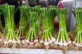 green-garlic_GettyImages-1284735912.jpg