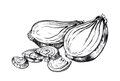 Ingredient_shallots_KRISTY_HEILENDAY_rp0616.jpg