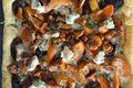 mushroom-tart_courtesy-midlothian-chefs-kitchen_teaser.jpg