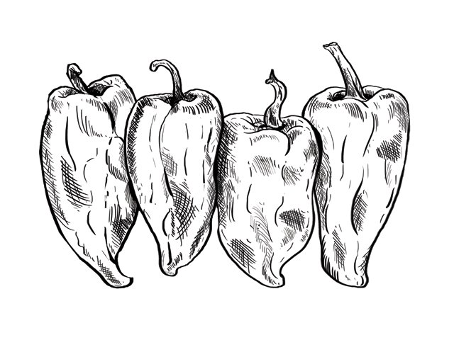 poblano_peppers_KRISTY_HEILENDAY_rp0116.jpg
