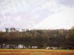 Stephanie Breijo Richmond Magazine Ledbury Quail Hunt 2015_1.jpg