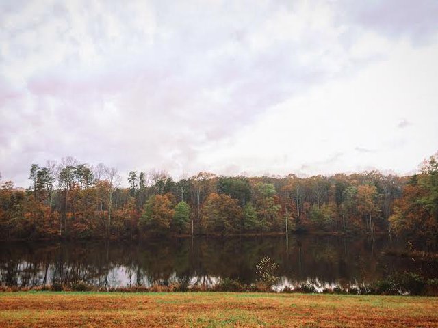 Stephanie Breijo Richmond Magazine Ledbury Quail Hunt 2015_1.jpg