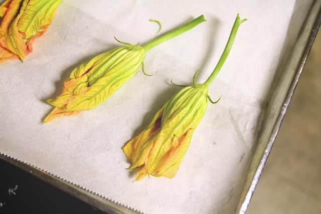 Stephanie Breijo Richmond Magazine Stuffed Squash Blossoms 006.jpg