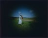 willie-at-ruths-farm_willie-anne-wright_vmfa.jpg